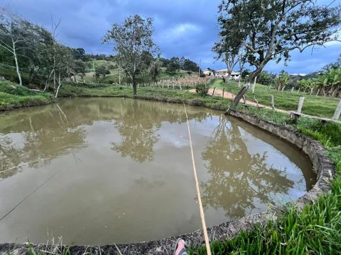 Sítio em Piracema MG com muita água, pomar adulto e vista sensacional.