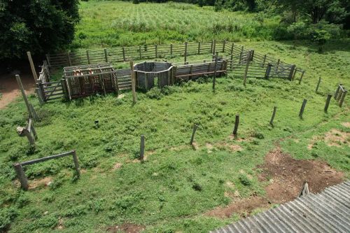 COD422- Chácara à venda  52 hectares | Rio Verde - MS