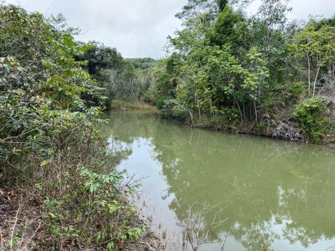 FAZENDA EM MATA DE SÃO JOÃO ECEPCIONAL LOCALIZAÇÃO OPORTUNIDADE