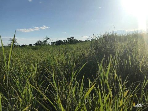 Fazenda à venda, Area rural de campina verde - CAMPINA VERDE/MG