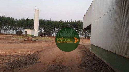 Fazenda à venda, por R$ 1.200.000.000 - Zona Rural - Nova Ubiratã/MT