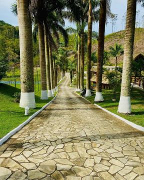 Belíssimo Sítio com Infraestrutura Completa com 35  Alqueires !