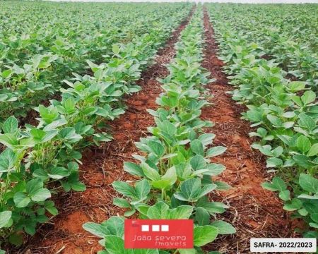 Fazenda para Venda em Nova Mutum
