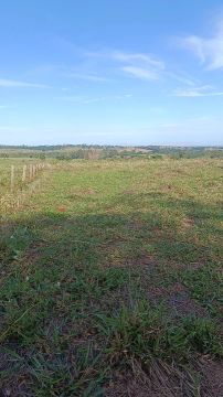 Vende-se 2 Alqueires a 3km de Porto Rico-PR.