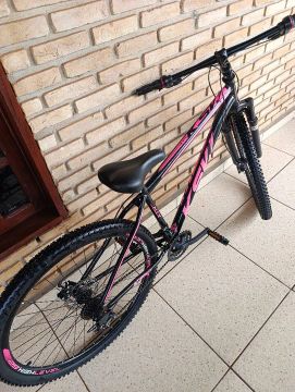Bicicleta Aro 29 Feminina