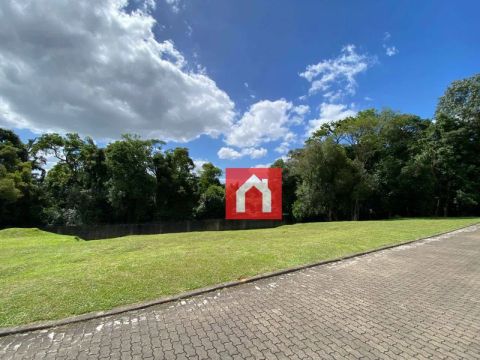 Terreno à venda, 1002 m² por R$ 990.000,00 - Jardim Europa - Santa Cruz do Sul/RS