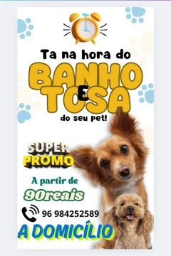 Banho e Tosa para seu Pet - A Domicílio!