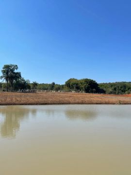 FAZENDA DIVINÓPOLIS