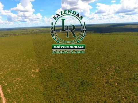 Fazenda 119 Alqueires Bruta Dupla Aptidão