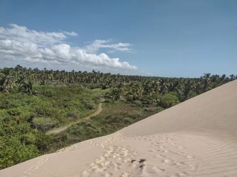 Sítio enfrente as dunas a 900 metros da praia do Peba - AL
