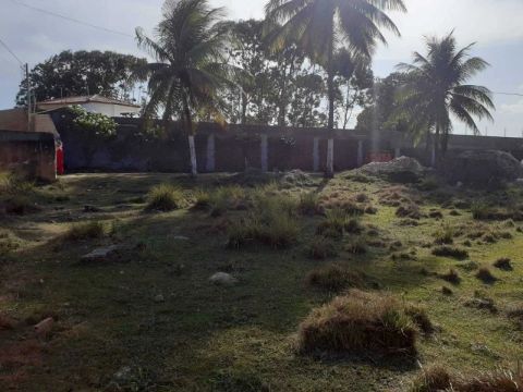 + Lote na Zona de Expansão - 162823