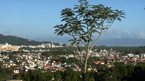 Imóvel para venda tem 899 metros quadrados em Itacorubi - Florianópolis - SC