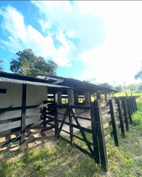 Sítio em Colônia de Leopoldina 15,5 Ha