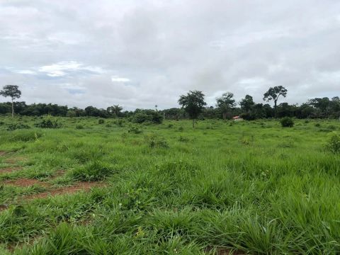 TERRA A VENDA !!