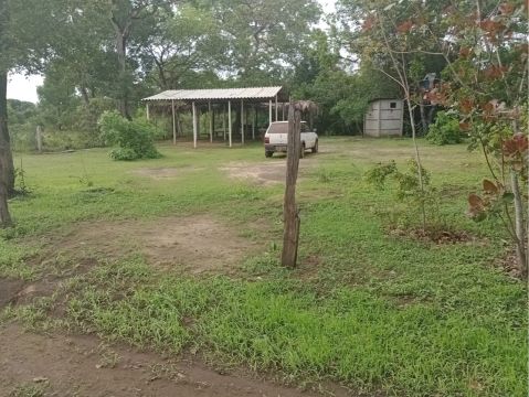 Sítio Novo Santo Antônio - MT