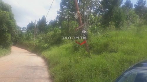 Lote em vargedo - Vargedo - Juquitiba/SP