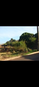 Terreno Jataizinho norte do PR 