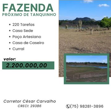 FAZENDA À 7KM DE TANQUINHO - 220 TAREFAS