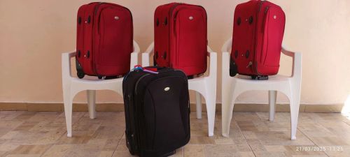 Mala viagem 