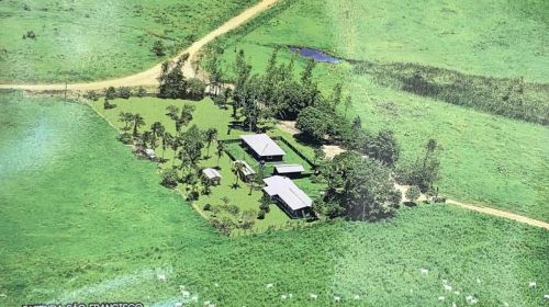 Fazenda c/! 350 Alqueiro formado, Boa Localização 