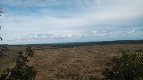 Vendo terra de 970 hectares com 600 de abertura beira do asfalto 
