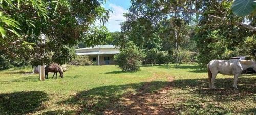 Sítio Rural à Venda | Área Rural - 5 Km de Porto Velho