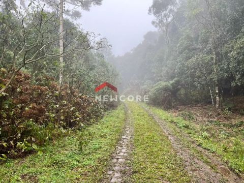 Lote em Rua 6 - Alpes - São Francisco de Paula/RS