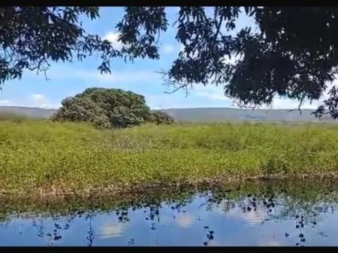 Fazenda em Várzea de Dentro/BA à Venda