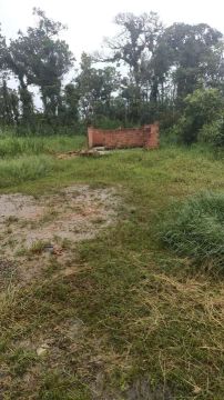 Terreno com estrutura para casa em área verde