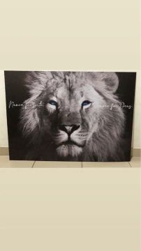 Quadro Decorativo Leão com Olhos Azuis