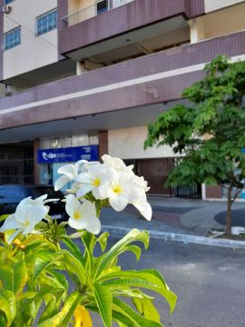 Aluguel Temporada - Apartamento na Av.Nilo Peçanha73ACentro de Cabo Frio