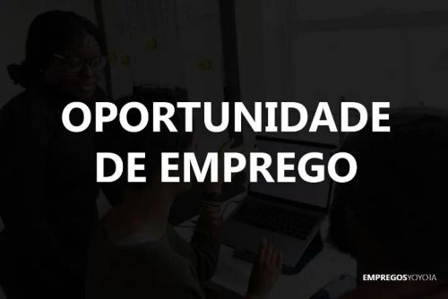 Vaga programado web e design gráfico ( home office )