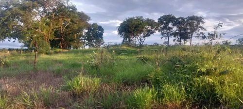 Terreno a Venda em Área Rural