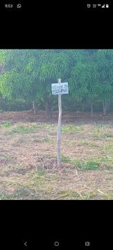 São Benedito 