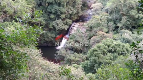 Sítio em Est Roça Nova - Roça Nova - São Francisco de Paula/RS