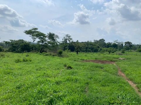 Fazenda para Venda em Tacuru