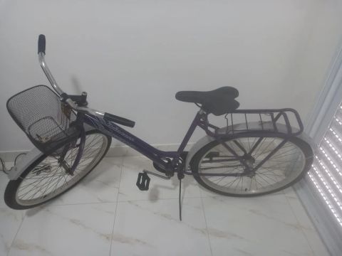 Bicicleta Fischer Princess - Freio Contra Pedal