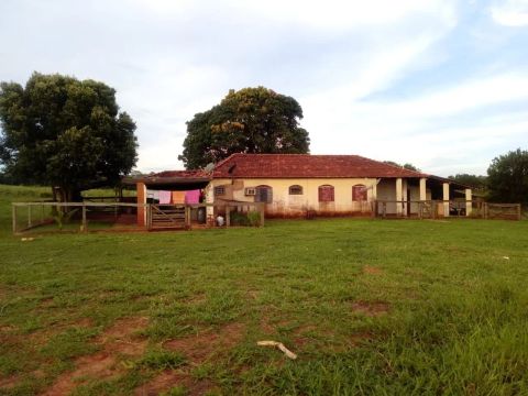 Fazenda 31 Alqueirao