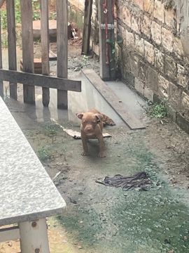 Doação responsável 