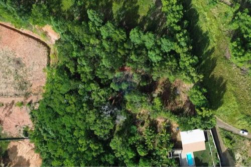 TERRENO DE 1.600M² - PRÓXIMO AO ASFALTO , À 8KM DE PIÚMA E IRIRI