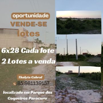Vendo lotes