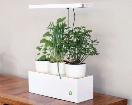 Horta automatizada - Plantário Snack