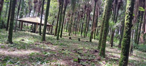 Sítio com água cristalina e natureza exuberante