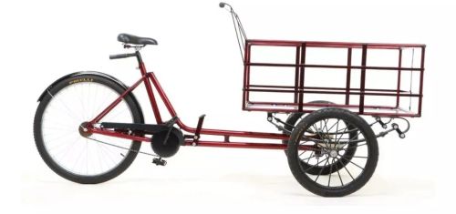Bicicleta cargueira triciclo