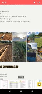 Faz 57 Alq com semi confinamento só 38 km.ds Palmas 