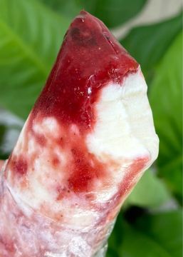 Geladinho Artesanais - Sabores Deliciosos