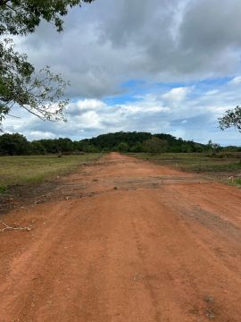 Terrenos a venda