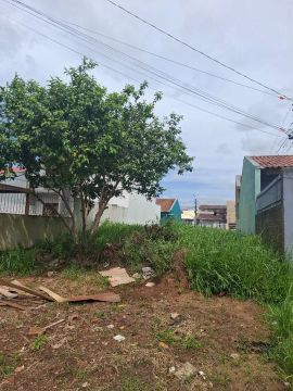 Terreno 7x20 Centro Novo Eldorado do Sul