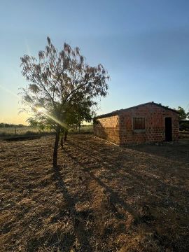 Terreno pra vender 