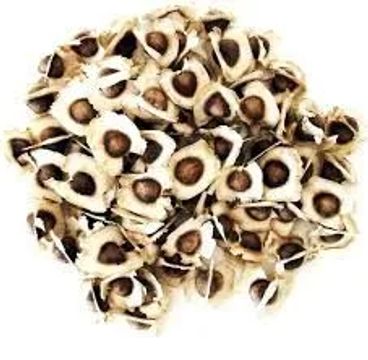Sementes de Muringa